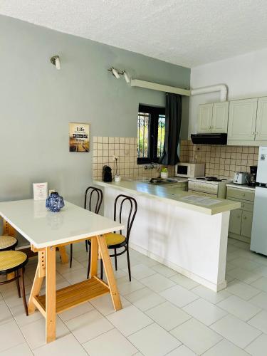 a kitchen with a table and some chairs and a counter at Terpsichori villa and apartments in Kalamaki