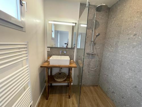 une salle de bain avec un lavabo et une douche avec un miroir dans l'établissement Jolie villa dans les pins avec piscine chauffée et wifi, à La Tranche-sur-Mer