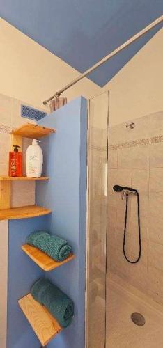 La salle de bains est pourvue d'une douche et d'un mur bleu. dans l'établissement Studio Proche Pont du Gard, à Remoulins