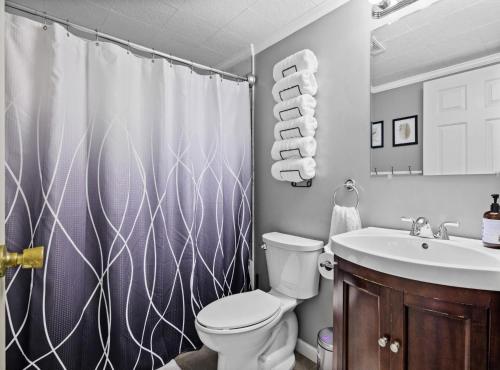 InwoodにあるHot Tub Chalet-Fire Pit Grill Stream & Big Yardのバスルーム(シャワーカーテン、トイレ、シンク付)