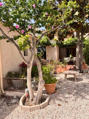 Photo de la galerie de l'établissement Maison au coeur du village de Six-Fours, à Six-Fours-les-Plages