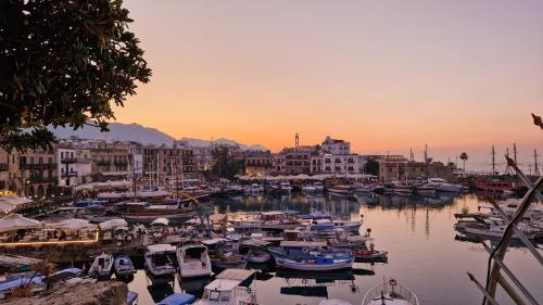 a group of boats docked in a marina at sunset at Harmony Homes in Kérynia