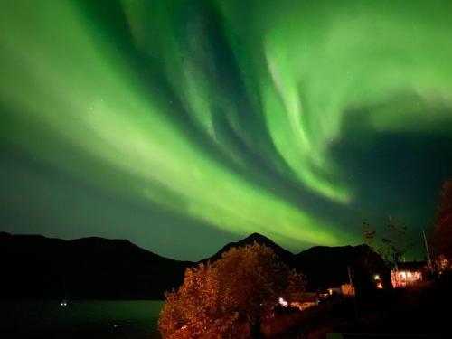 Photo de la galerie de l'établissement FERRYtale, cozy, spacious house on Senja, à Gryllefjord