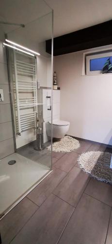 a bathroom with a tub and a toilet in a room at Ferienwohnung Bermatingen in Bermatingen