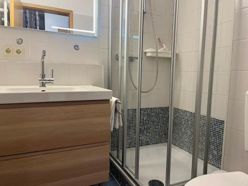 a bathroom with a shower and a sink at Ort Lemkenhafen "Westwind" in Westfehmarn