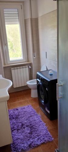 a bathroom with a washing machine and a purple rug at La casa di Gianfri in Esanatoglia
