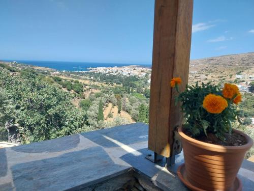 a flower pot sitting on a balcony with a view at Richie's Sea View Romantic Residences in Andros