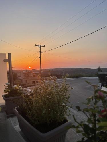 a view of a sunset from a balcony with plants at Trachos Traditional House in Sálakos