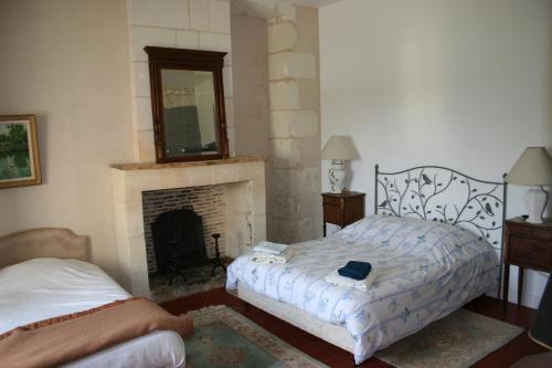 a bedroom with a bed and a fireplace with a mirror at Grand gite en rez-de-jardin in Saint-Aignan