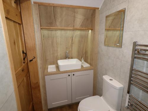 a bathroom with a white toilet and a sink at Weirglodd in Ruthin