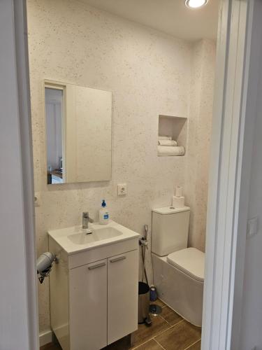 a bathroom with a sink and a toilet and a mirror at Julia's apartment in Marbella