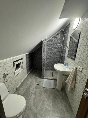 a bathroom with a toilet and a sink at Casa Mariei in Vama Buzăului