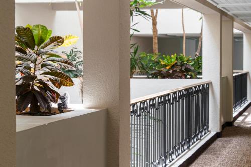 Fotografie z fotogalerie ubytování Sofitel Agadir Royal Bay Resort v destinaci Agadir