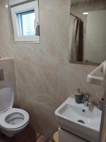 a bathroom with a white toilet and a sink at Apartmani Marinee in Donja Jošica
