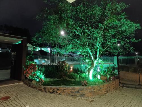 a tree in front of a building at night at Residencial Luce Del Sole - Apto Nº 2 in Joinville