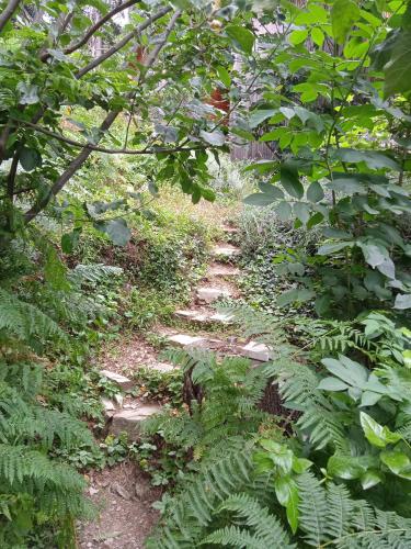 Taman di luar Entre les cèdres
