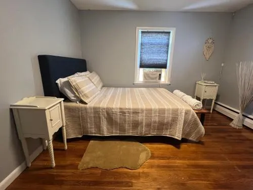 Peaceful 1BR easy commute, urban suburban mix feel in Boston in Brockton
