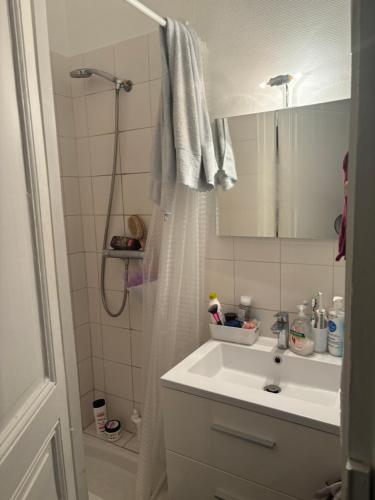 une salle de bain avec un lavabo et une douche dans l'établissement Appartement 2 pièces 58 m2 paris Alésia, à Paris