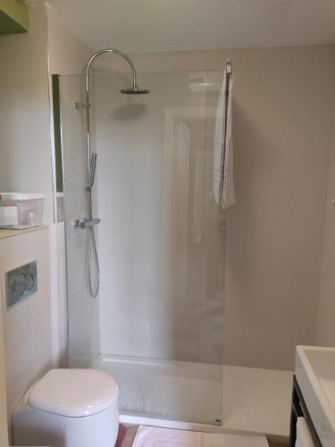 a bathroom with a shower and a toilet at B&B Don Antonio in Civitella Casanova