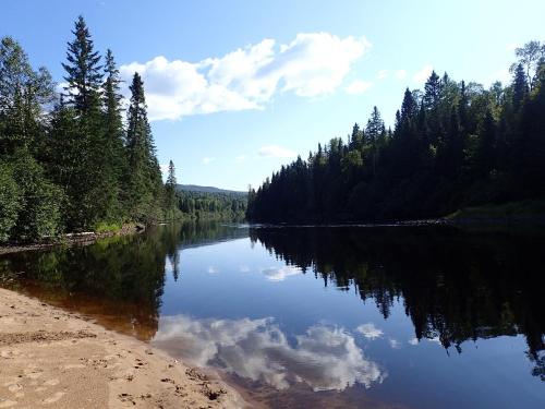 a river with a reflection of trees in the water at Domaine le Bostonnais - Le Village en Bois Rond in La Tuque