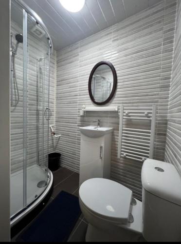 a bathroom with a toilet and a sink and a mirror at Queens Park Studio in Glasgow