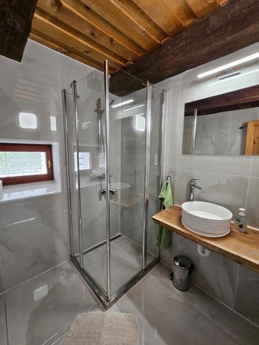 a bathroom with a shower and a sink at GRANÁRIUM in Jablonov nad Turnou