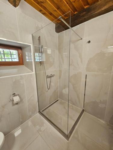 a shower with a glass door in a bathroom at GRANÁRIUM in Jablonov nad Turnou