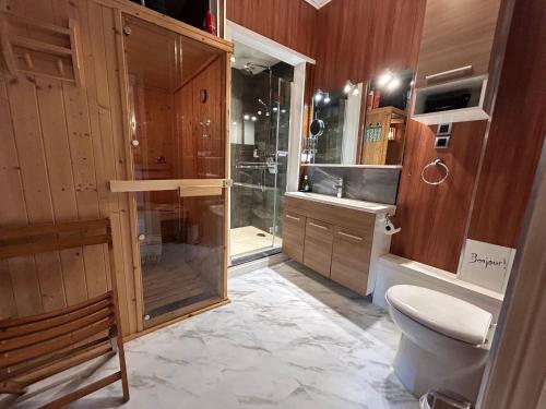 un bagno con wc e doccia in vetro di Cosy T2 au Mont Dore Sauna privé et vue montagne proche thermes a Le Mont-Dore
