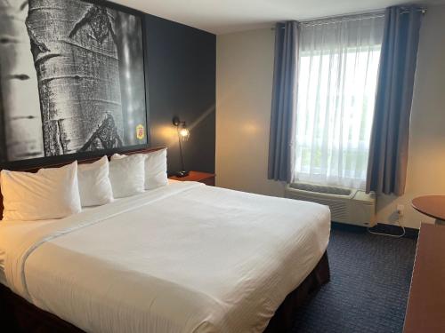 a hotel room with a large white bed and a window at Super 8 by Wyndham Sainte Agathe Des Monts in Sainte-Agathe-des-Monts
