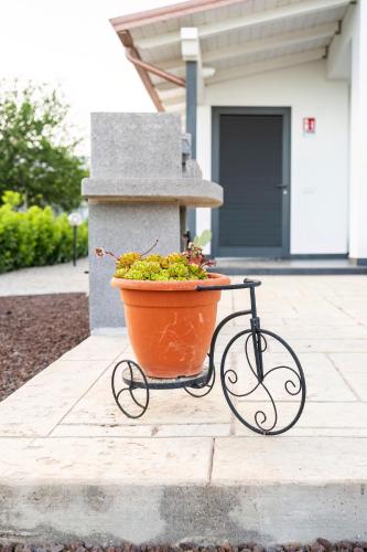 Attività di ciclismo presso la casa vacanze o nelle vicinanze