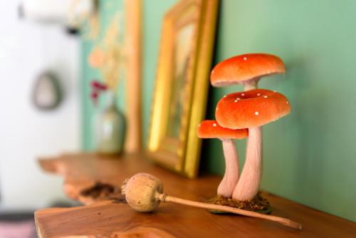 two mushrooms sitting on top of a wooden table at Cozy Tiny House between Veluwe en Veluwemeer - with free use of bikes in Ermelo