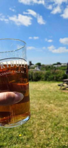 a hand holding a glass of beer in a field at Jubilee Inn in Looe
