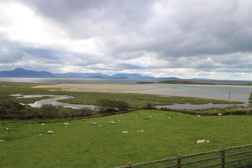 a herd of sheep grazing in a field next to a river at Cois Leice in Cushlecka