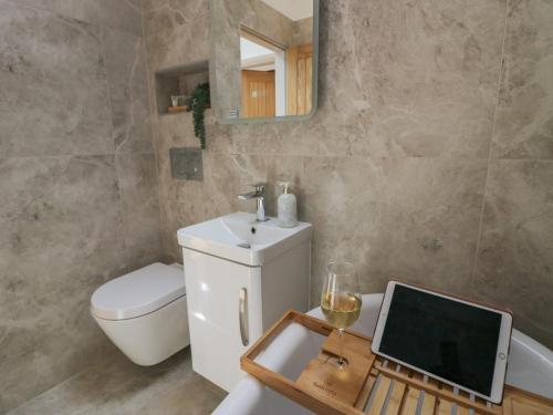 a bathroom with a toilet a sink and a mirror at Heather's Cottage in Carlisle