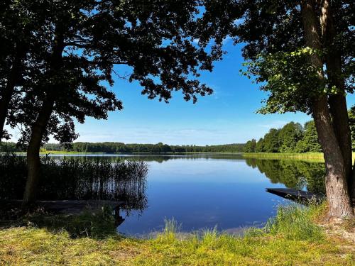a view of a lake from between two trees at Kaszubska Zagroda in Lipuska Huta