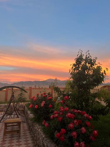 a garden with roses and a bench at sunset at Guest house and yurt camp Svetlana in Bokonbayevo