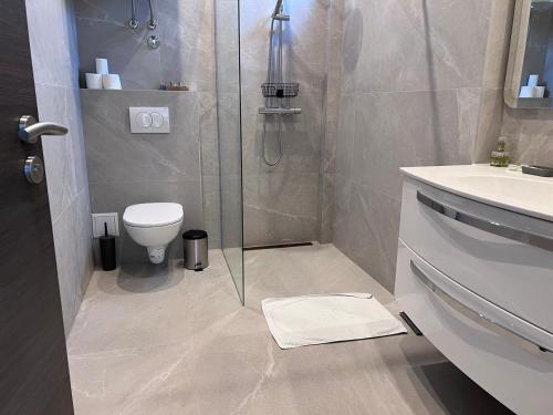 a bathroom with a shower and a toilet and a sink at Hotel Millenium deluxe in Selce