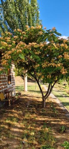 a tree in front of a brick building and a bench at GreenField Resort in Yeghegnadzor
