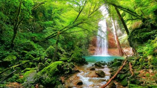 a waterfall in a forest next to a river at App Damiani in Oprtalj