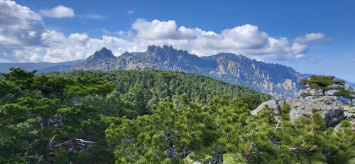 Gallery image of BandB - les rosiers - Corse - chambre Eglantine in Conca