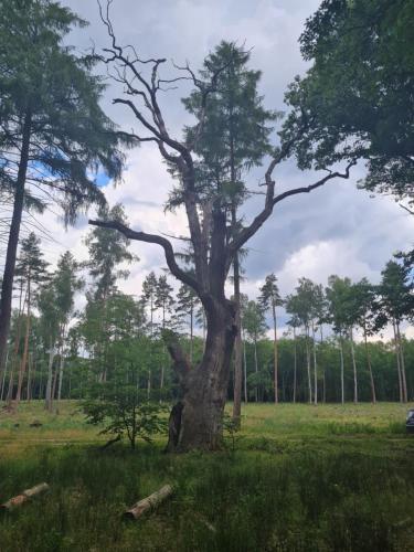 Landskap semula jadi dekat dengan penginapan di ladang