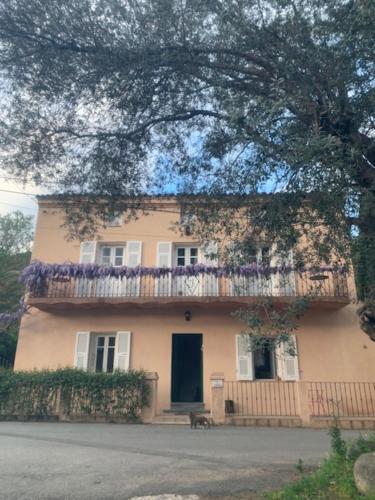 Gallery image of BandB - les rosiers - Corse - chambre Eglantine in Conca