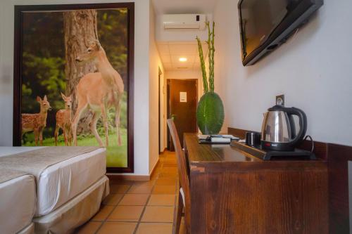 TV a/nebo společenská místnost v ubytování Hotel Albaida Nature