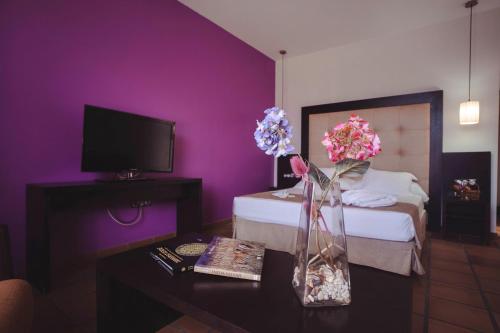 TV a/nebo společenská místnost v ubytování Hotel Albaida Nature