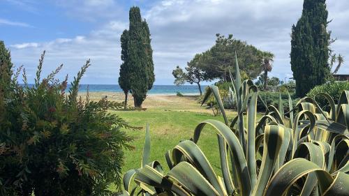 Studio Cabine à quelques pas de la plage - VUE MER