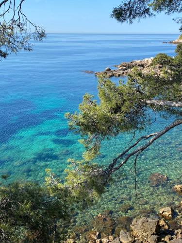 Φυσικό τοπίο κοντά σε αυτό το διαμέρισμα