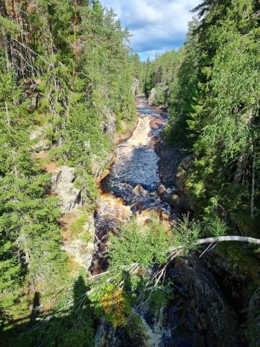 an aerial view of a river in a forest at Nästorp broa, room 1 in Hagfors