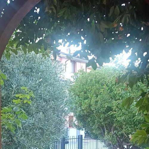 Сад в B&B Villetta Poggio
