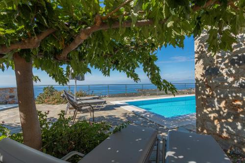 a resort with a pool and a tree and chairs at IRIS, Luxury Stone Villa in Stoupa with Private Infinity Pool, BBQ and Amazing Sea View in Stoupa