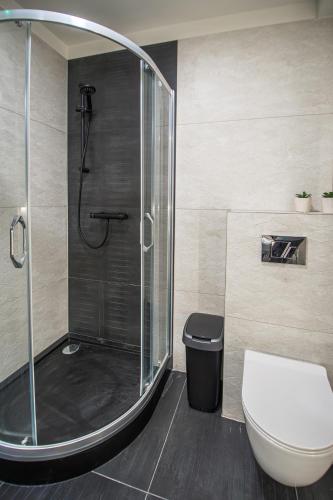 a bathroom with a shower and a toilet at Happy Street OLD TOWN 24-hour Reception in Toruń